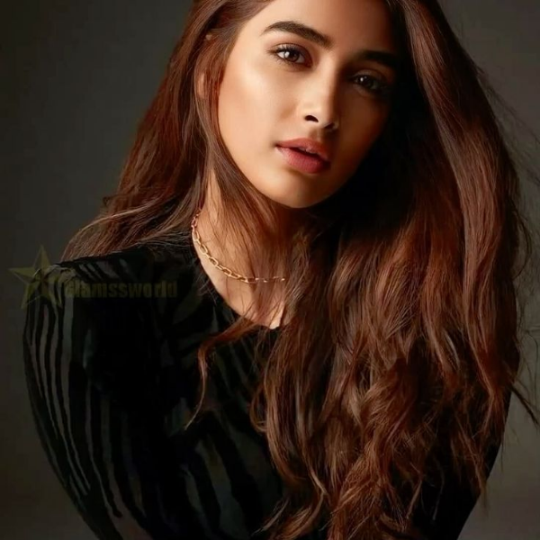 Pooja Hegde — Bollywood Actress Booking booking via TKC Talent